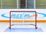 Имитатор - хоккейные ворота Т-770 - магазин СпортДоставка. Спортивные товары интернет магазин в Комсомольске-на-Амуре 
